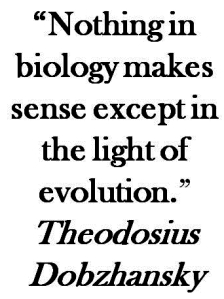 evolution quote
