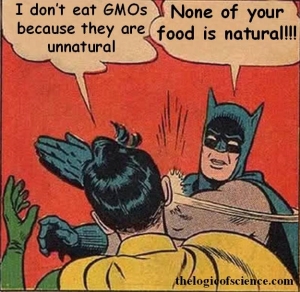 Batman and robin GMO meme