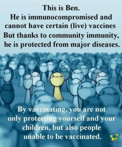 How vaccines cause herd immunity
