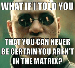 The original Matrix movie was actually a brilliant portrayal of the brain in a vat argument. 